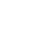 The Kitten and the Moon