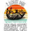 Drôle de Chat Bengal