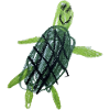 Turtle Crayon