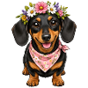 Dackel Blumenkranz Bandana