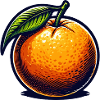 Bright Retro Orange