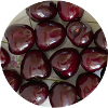 Cerises sucrées juteuses