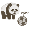 Panda meets football
