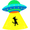 Cat is kidnapped by UFO
