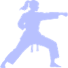 Kampfkunst Silhouette Karate