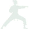 Kampfkunst Silhouette Karate Frau