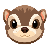 Ferret Face