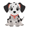 Dalmatian Puppy