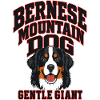 Berner Sennenhund Sanfter Riesenhund Geschenk