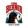 Berner Sennenhund Der Berner sanfte Riese