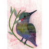 Oiseau