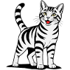 Cat standing coloured