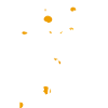 DAISIES