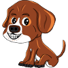 Puppy 