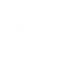 Biker Dad Vélo VTT Descente