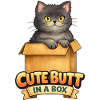 Cute Butt in a Box Cat