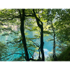 Waldsee Turquoise Zauber