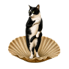 Cat on Shell