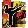 Kampfsportlerin Yin Yang