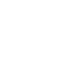 Lyon in brush letters