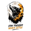 Wolfsfokus Stay Focused Never Settle