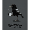 Hello Darkness My Old Friend Raven
