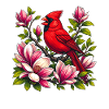 Cardinal sur magnolias