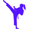 Kampfsport Hochkick Silhouette