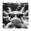 Axolotl Sunglasses