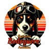 Bodeguero_Pilot