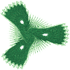 The shy starfish
