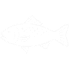 Fish White Fishing Gift Angler