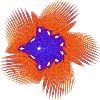 Chaos Coral