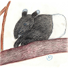 Schabrackentapir