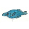 Vogellippfisch