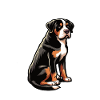 Don't Bother Me Appenzeller Sennenhund Sennenhunde
