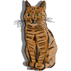 Illustration : Portrait d’un chat rayé