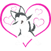 Sibirischer Husky