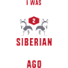 Sibirischer Husky