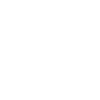 Roller skater