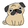 Mignon chiot Kawaii Pug Dog