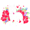 Sibirischer Husky