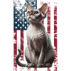 Devon Rex US Devon Rex