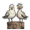 Crazy Seagulls
