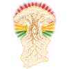 Ghana Ghanese Ghanesisch Baobab Tree