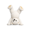 Teddy Bear Headstand