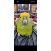 Green Parrot Head – Neon Yellow Accent