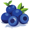Blueberries Costume Carnival Berries Blueberries