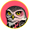 Eule Pop Art