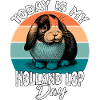 Dwarf Ram Rabbit Holland Lop Rabbit